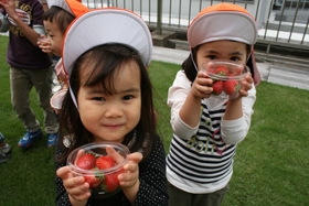 収穫したイチゴを手にする園児達