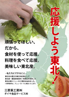 Support Tohoku Project poster