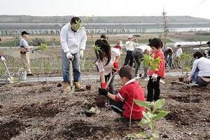 海の森公園での植樹