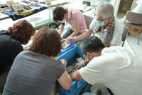 Volunteer activity of cleaning photographs damaged in the disaster