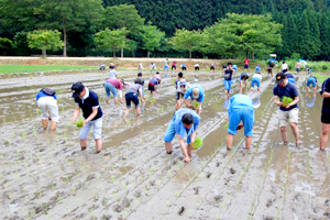 写真：農業体験2