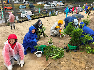 Employees planting saplings in the rain