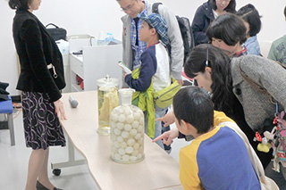 Observing marine turtle eggs and esophagi