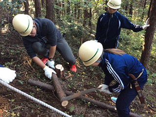 Thinning the forest.