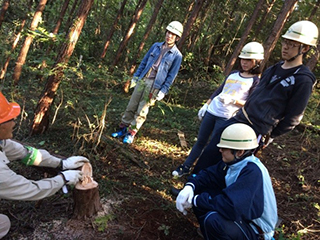 Inspecting how the work went