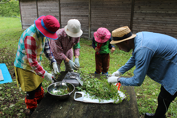 Preparing natural dyes