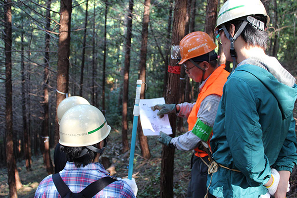 Learning how to perform thinning work safely