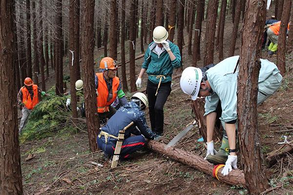 Performing thinning work