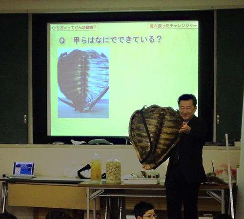 Mr. Matsuzawa showing a loggerhead turtle shell