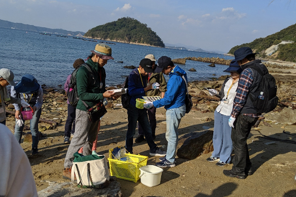 Examining collected shells, referring to charts