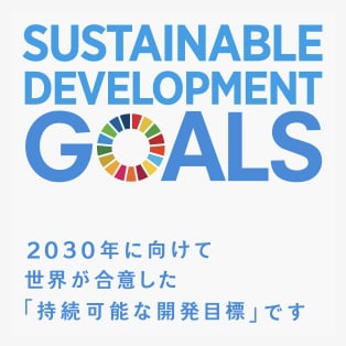 SUSTAINABLE DEVELOPMENT GOALS