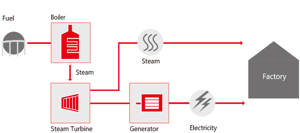 Co-generation Plants