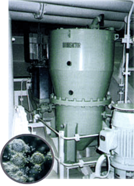 Bio-Treatment System of Oily Bilge Drained from Ship Engine Room