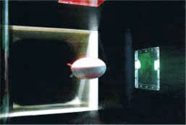 Magnetic Suspension and Balance System