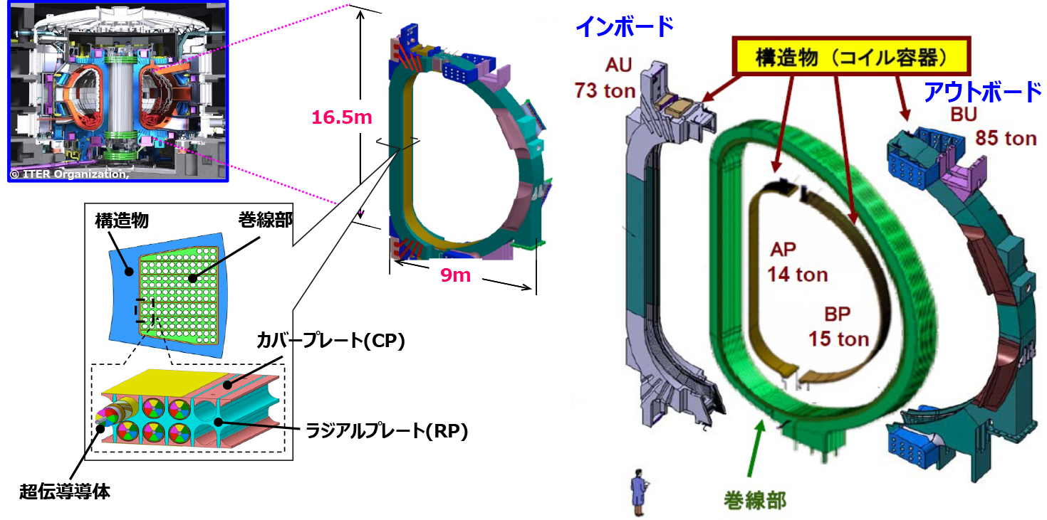 トロイダル磁場コイル