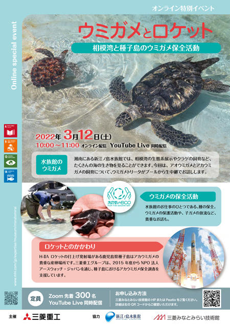 オンライン特別イベント 「ウミガメとロケット ～相模湾と種子島のウミガメ保全活動～」