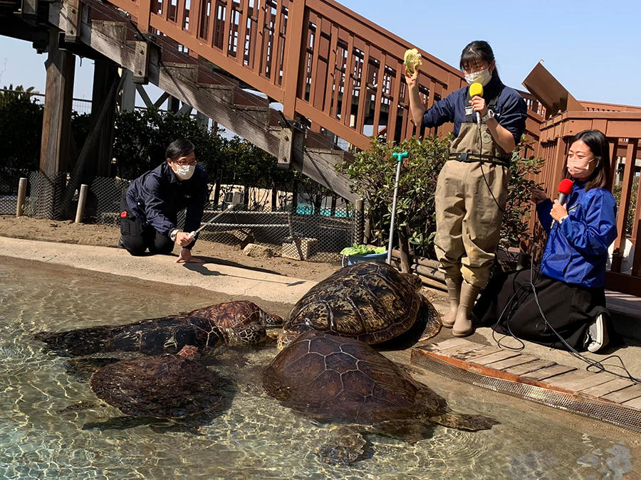 『ウミガメの浜辺』で食事の様子を紹介