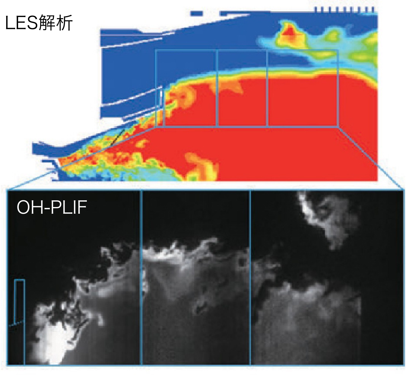 LES解析とOH-PLIFの比較
