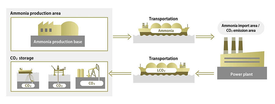 Example of operation of a "transport vessel that combines ammonia and liquefied CO2"