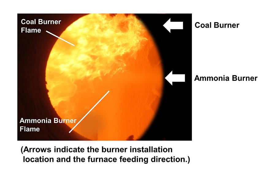 Co-firing of ammonia and coal