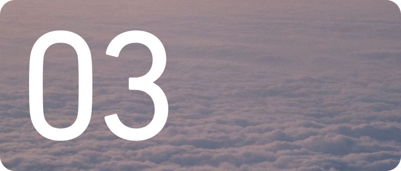 03