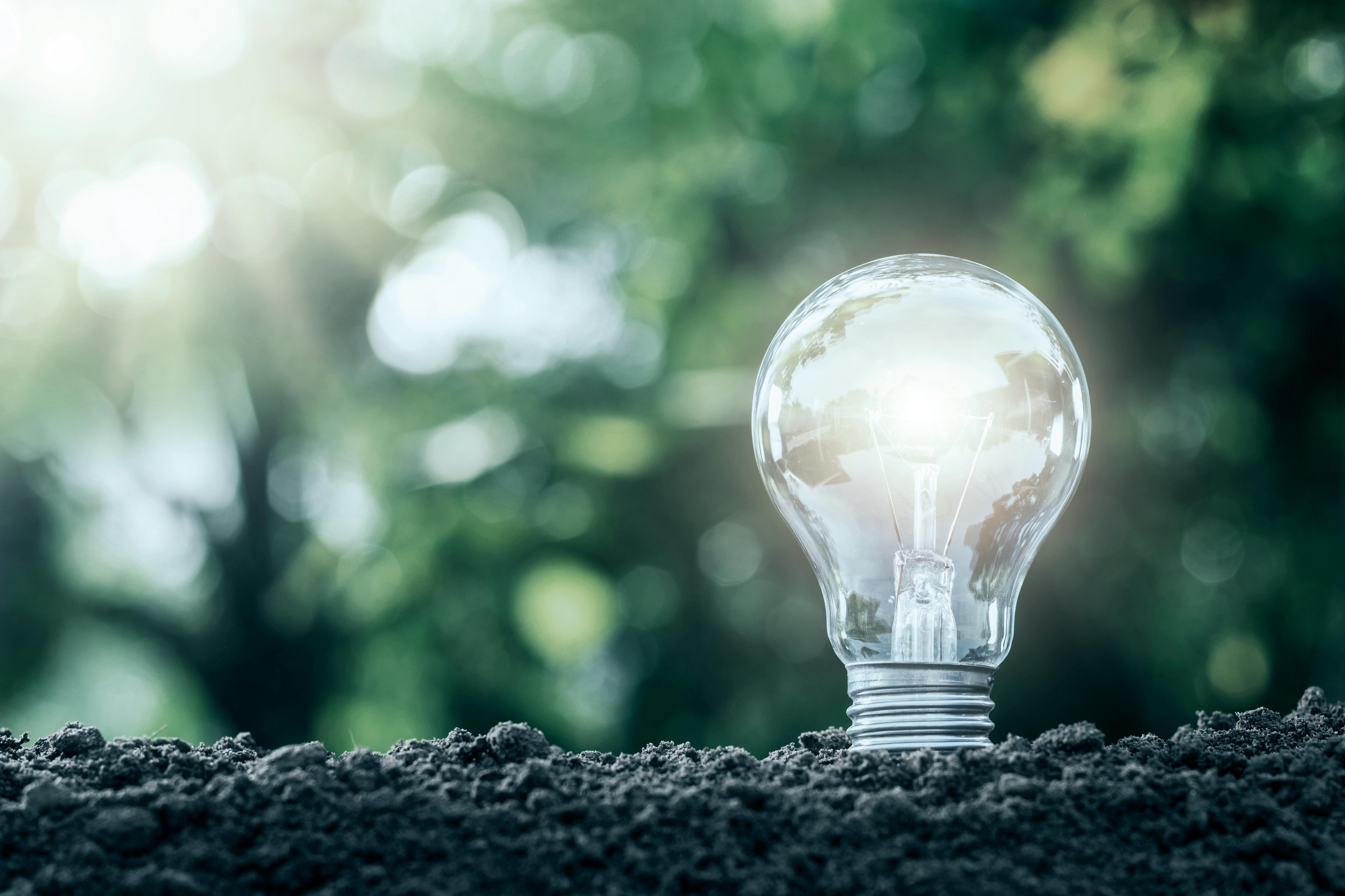 原子力人材育成はこちら（学生向け研修情報）