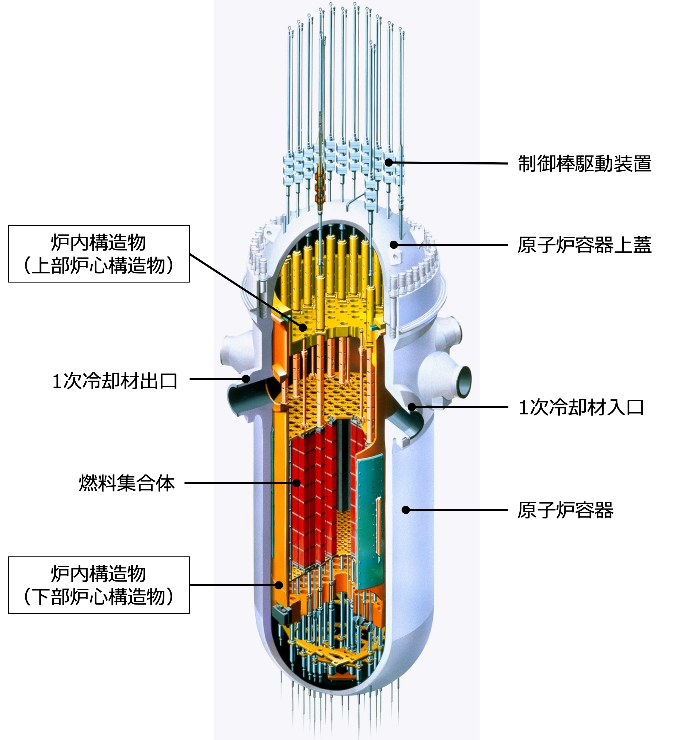 原子炉構造図（APWR）