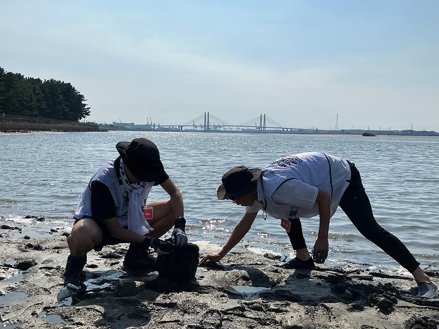 Observing Wildlife on the Tidal Flat