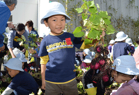 Tamachi Building Co. Invites Nursery School Children to Potato Dig at Company's Rooftop Garden <br/>-- Offering Fun Learning Opportunity about Environment as CSR Activity --
