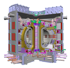 [Toroidal Field Coil]